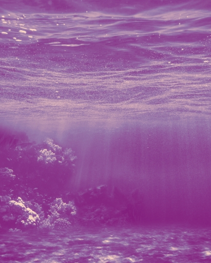 pinkish purple ocean